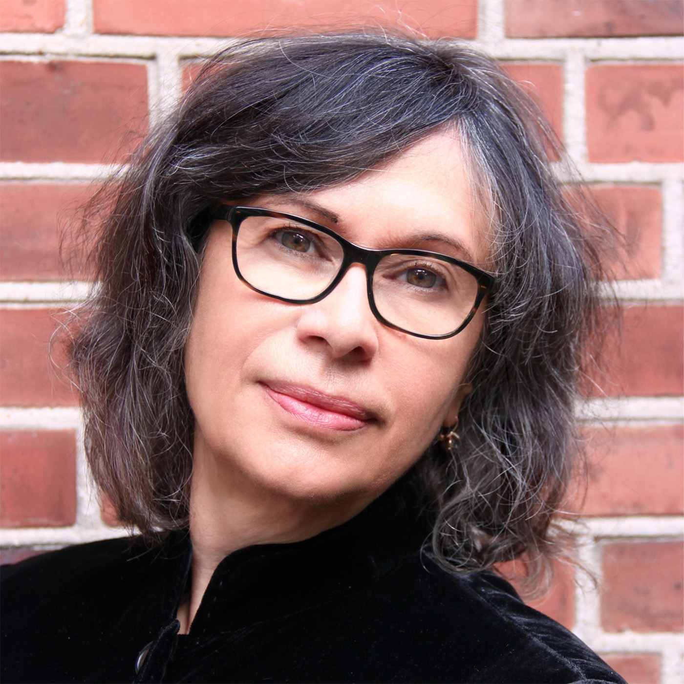 "Ich gehöre nicht zu den Jugo-Nostalgikern." | Alida Bremer, Schriftstellerin