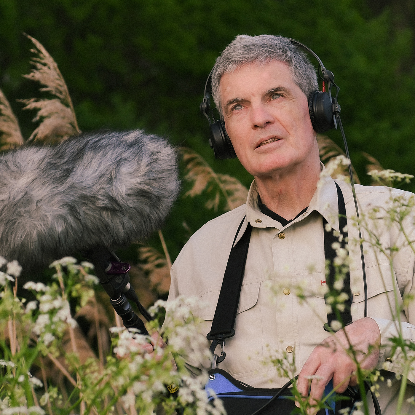 "Die Nachtigall schluchzt über drei Oktaven." | Bernd Petri, Ornithologe
